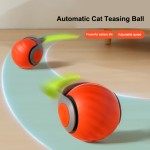USB宠物玩具生产厂家-360°旋转滚动球扭动爬行猫玩具