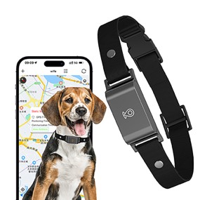 Pet GPS Tracker Factory - OEM Real-Time Location Smart Locator Tracking Collar