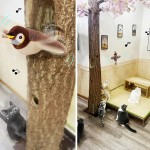 猫鸣叫玩具生产厂家-USB触摸激活扑翼麻雀互动玩具