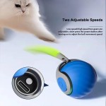 USB宠物玩具生产厂家-360°旋转滚动球扭动爬行猫玩具