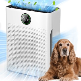 Pet Air Purifier Manufacturer - HEPA Filter Air Quality Sensor Large Room Cleaner