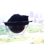 Cat Window Bed Factory - Strong Suction Summer Style Perch Hammock Bulk Supply