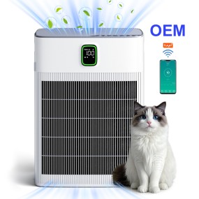 Air Purifier for Pets Supplier - OEM Wholesale Wi-Fi Odor Control PM2.5 Monitor