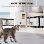 Automatic Pet Feeder Manufacturer - OEM 2-in-1 Food Water Fountain with Camera