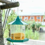 Bird Feeder Factory - Acrylic Pavilion Shape Hanging Outdoor Spot Feeder