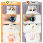 猫毛绒玩具源头工厂-定制仿真毛绒玩具逼真背包OEM