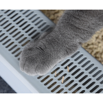 Cat Litter Box Factory - Anti-slip Indoor Tray with Scoop Eco-friendly Plastic