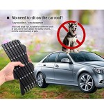 Dog Window Guard Supplier - Expandable Car Ventilation Safe Guard Grill