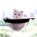 Cat Window Bed Factory - Strong Suction Summer Style Perch Hammock Bulk Supply