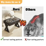 Raised Dog Bowl Supplier - Portable PP Stainless Steel Adjustable Feeder Height