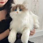 猫毛绒玩具供应商-高仿真坐姿小猫动物娃娃定制