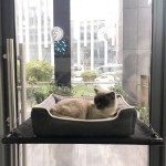 Cat Hanging Bed Manufacturer - Custom Strong Hammock Perch for Indoor Cats