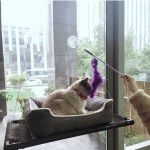 Cat Hanging Bed Manufacturer - Custom Strong Hammock Perch for Indoor Cats