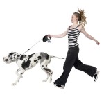 自动狗牵绳源头工厂-伸缩尼龙牵绳带便便袋盒