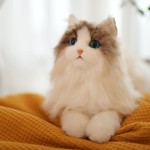 猫毛绒玩具供应商-高仿真坐姿小猫动物娃娃定制