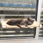 猫窗床源头工厂-窗户安装阳光吊床栖木无螺丝吸盘