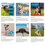 Wireless Dog Fence Manufacturer - Upgraded Electric Containment Waterproof Collar
