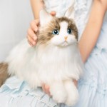 猫毛绒玩具供应商-高仿真坐姿小猫动物娃娃定制