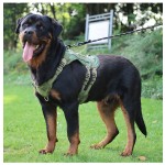 Pet Vest Harness Factory - Custom Breathable Reflective No Pull Service Walking