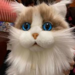 猫毛绒玩具供应商-高仿真坐姿小猫动物娃娃定制