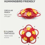 Hummingbird Feeder Supplier - Outdoor Built-in Ant Guard Circular Perch 5 Ports