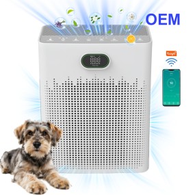 Home Air Purifier Manufacturer - HEPA Filter Pet Hair Odor Bedroom Air Cleaner