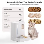 Automatic Pet Feeder Manufacturer - OEM 2-in-1 Food Water Fountain with Camera