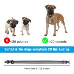 Wireless Dog Fence Manufacturer - Upgraded Electric Containment Waterproof Collar