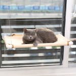 猫窗床源头工厂-窗户安装阳光吊床栖木无螺丝吸盘