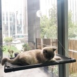Cat Window Perch Supplier - Sunny Platform Seat Stand Lounger Hammock Replacement