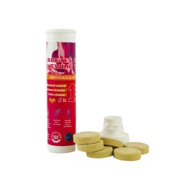 Herbal Supplements Manufacturer - Wholesale Fruit Flavored Chewing Tablets