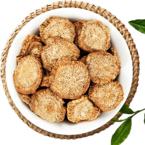 Herbal Tea Manufacturer - OEM Round Cutting Dried Burdock Root