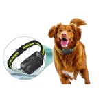 Anti-Barking Collar Supplier - USB Rechargeable IP67 Waterproof