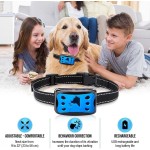 PET Training Collar Manufacturer - Beeper Vibration Electric Remote