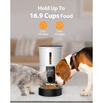 Smart Pet Feeder Manufacturer - 4L Dry Food Automatic Dispenser