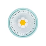 Cat Water Fountain Factory - 2.4L Capacity LED Auto Shut