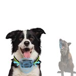 Anti-Barking Collar Supplier - USB Rechargeable IP67 Waterproof