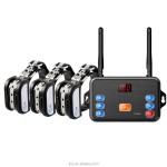 Wireless Fence Supplier - Dual Antenna Sound Vibration Shock