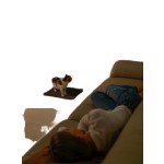 Automatic Cat Toilet Manufacturer - Intelligent Electric Low Noise App