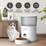 Auto Pet Feeder Factory - Cats Dogs Food Dispenser Bowl Design