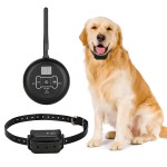 Portable Pet Fence Manufacturer - Wireless Training Underground Collar
