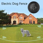 Portable Pet Fence Manufacturer - Wireless Training Underground Collar