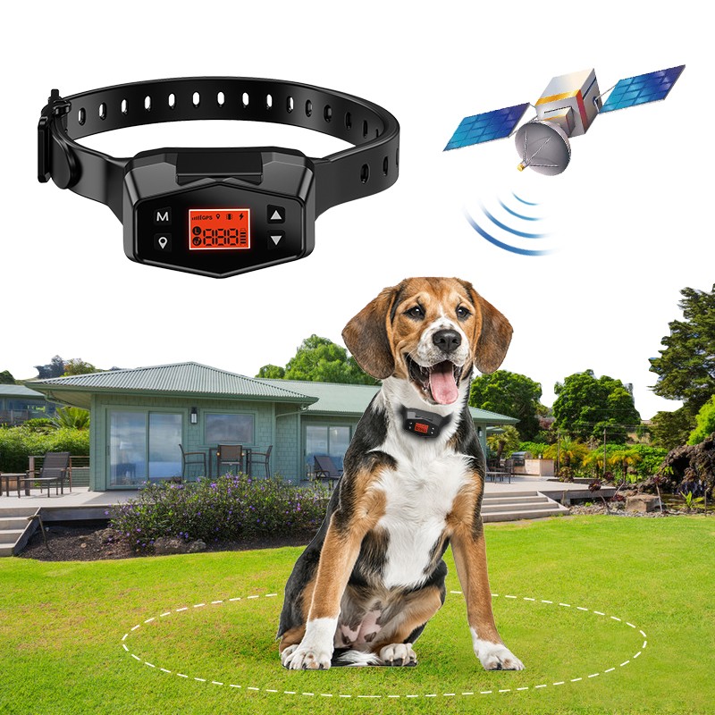 Waterproof Dog Collar Factory - USB Electric Shock Training New Design