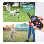 Remote Dog Collar Supplier - Rainproof Electric Training Device