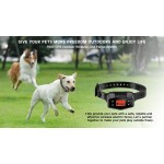 Waterproof Dog Collar Factory - USB Electric Shock Training New Design