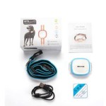 Pet Tracker Factory - GPS Tracking Collar Activity Monitor
