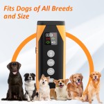 Dog Bark Deterrent Supplier - Rechargeable Sonic Ultrasonic No Shock