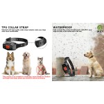 Waterproof Dog Collar Factory - USB Electric Shock Training New Design