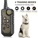 Dog Training Equipment Supplier - Remote Controlled Buzzer Light Trainer