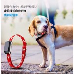 Waterproof GPS Tracker Supplier - Tractive Cat Location Activity